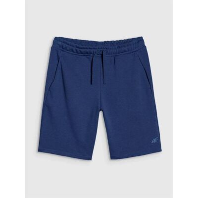 4F, Herren, Shorts, Shorts, Blau, (L) 4F, Herren, Shorts, Shorts, Blau, (L)
