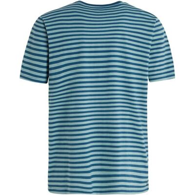 Protest, Herren, Shirts, Prtgodna T-Shirt, Türkis, (M) Protest, Herren, Shirts, Prtgodna T-Shirt, Türkis, (M)
