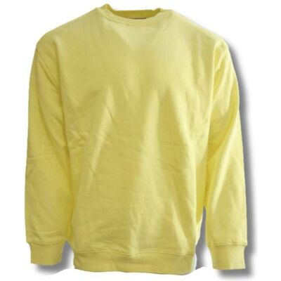 Taikan, Herren, Pullover, Everything Plain Crew Sweatshirt Canary - 1306001.CAN, Gelb, (S) Taikan, Herren, Pullover, Everything Plain Crew Sweatshirt Canary - 1306001.CAN, Gelb, (S)