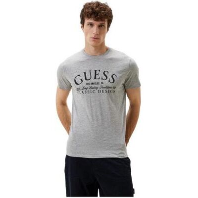 Guess Herren, Shirts, Herren T-Shirt Classic Bsc Intl Klassisches Design Grau, Grau, (XL) Guess Herren, Shirts, Herren T-Shirt Classic Bsc Intl Klassisches Design Grau, Grau, (XL)