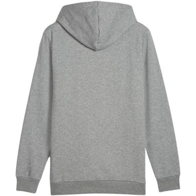 Puma Herren, Pullover, Ess+ Logo Farbverlaufs-Hoodie, Grau, Silber, (XL) Puma Herren, Pullover, Ess+ Logo Farbverlaufs-Hoodie, Grau, Silber, (XL)