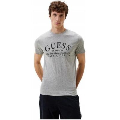 Guess Herren, Shirts, Herren T-Shirt Classic Bsc Intl Klassisches Design Grau, Grau, (L) Guess Herren, Shirts, Herren T-Shirt Classic Bsc Intl Klassisches Design Grau, Grau, (L)