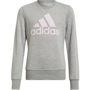 Adidas Mädchen, Pullover, Essentials Sweatshirt Kids, Pink, Silber, Grau, (152) Adidas Mädchen, Pullover, Essentials Sweatshirt Kids, Pink, Silber, Grau, (152)