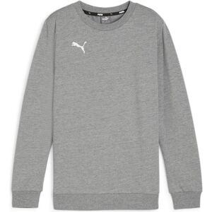 Puma Jungen, Pullover, teamGOAL Casuals Crew Neck Sweat Jr, Grau, (152) Puma Jungen, Pullover, teamGOAL Casuals Crew Neck Sweat Jr, Grau, (152)