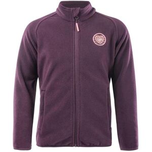 Bejo, Mädchen, Pullover, Lisanna 280 Jr sweatshirt 92800439468, Violett, (116) Bejo, Mädchen, Pullover, Lisanna 280 Jr sweatshirt 92800439468, Violett, (116)