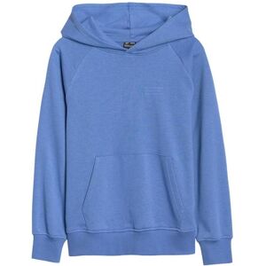 4F, Jungen, Pullover, Kinder-Sweatshirt, Blau, (164) 4F, Jungen, Pullover, Kinder-Sweatshirt, Blau, (164)