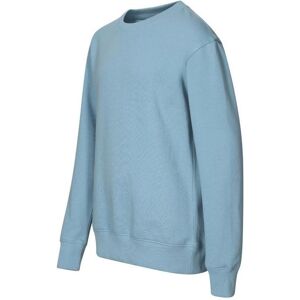 Malfini, Jungen, Pullover, Children's Crew Sweatshirt (Blue), Blau, (146) Malfini, Jungen, Pullover, Children's Crew Sweatshirt (Blue), Blau, (146)