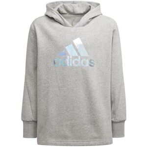 Adidas Mädchen, Pullover, G Hoodie Jr, Grau, Silber, (170) Adidas Mädchen, Pullover, G Hoodie Jr, Grau, Silber, (170)