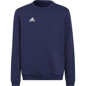 Adidas Jungen, Pullover, Entrada 22 Sweatshirt Kinder, Blau, (128) Adidas Jungen, Pullover, Entrada 22 Sweatshirt Kinder, Blau, (128)