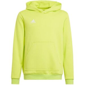 Adidas Jungen, Pullover, Entrada 22 Sweat Hoodie, Gelb, (116) Adidas Jungen, Pullover, Entrada 22 Sweat Hoodie, Gelb, (116)