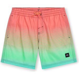 O'Neill, Jungen, Badehosen, Jack Cali Gradient 14" Swim Shorts, Rot, Grün, Mehrfarbig, (164) O'Neill, Jungen, Badehosen, Jack Cali Gradient 14" Swim Shorts, Rot, Grün, Mehrfarbig, (164)