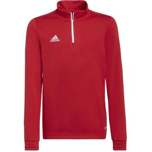 Adidas Unisex, Pullover, Entrada 22 Trainingspullover Kinder, Rot, Blau, (128) Adidas Unisex, Pullover, Entrada 22 Trainingspullover Kinder, Rot, Blau, (128)