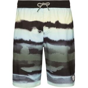 Protest, Jungen, Badehosen, Jungs Beachshort MASH JR Spruce 104, Grün, (104) Protest, Jungen, Badehosen, Jungs Beachshort MASH JR Spruce 104, Grün, (104)
