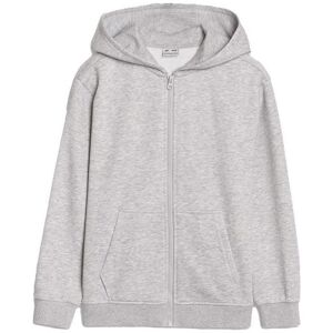 4F, Jungen, Pullover, Junior-Sweatshirt, Grau, Silber, (164) 4F, Jungen, Pullover, Junior-Sweatshirt, Grau, Silber, (164)