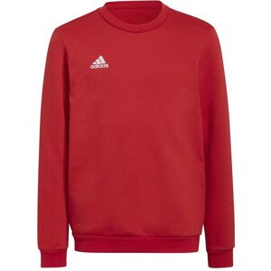 Adidas Jungen, Pullover, Entrada 22 Sweatshirt Kinder, Rot, Blau, (164) Adidas Jungen, Pullover, Entrada 22 Sweatshirt Kinder, Rot, Blau, (164)