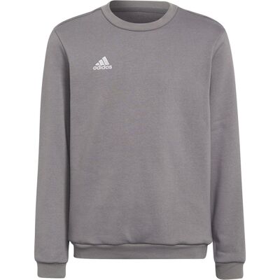 Adidas Unisex, Pullover, Entrada 22 Sweatshirt Kinder, Grün, Silber, Grau, (140) Adidas Unisex, Pullover, Entrada 22 Sweatshirt Kinder, Grün, Silber, Grau, (140)