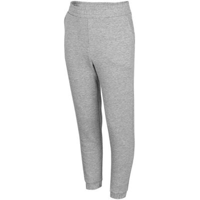 4F, Mädchen, Hosen, Hose, Grau, Silber, (134) 4F, Mädchen, Hosen, Hose, Grau, Silber, (134)