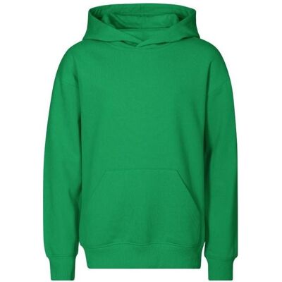 Malfini, Jungen, Pullover, Chill Kids Sweatshirt (Grass Green), Grün, (122) Malfini, Jungen, Pullover, Chill Kids Sweatshirt (Grass Green), Grün, (122)