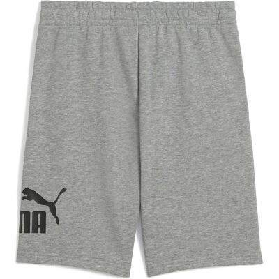 Puma Jungen, Shorts, ESS No. 1 Logo Shorts TR B, Grau, (164) Puma Jungen, Shorts, ESS No. 1 Logo Shorts TR B, Grau, (164)