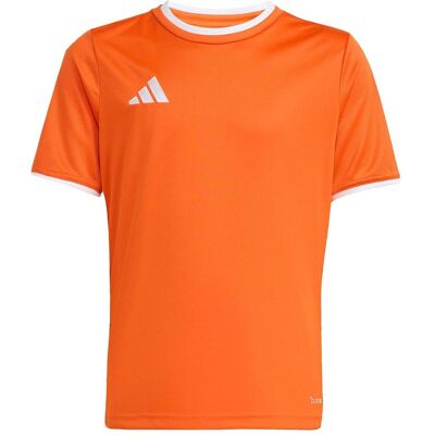 Adidas Jungen, Sportshirt, entrada jsy t-shirt (152), Orange, Weiss, 152 Adidas Jungen, Sportshirt, entrada jsy t-shirt (152), Orange, Weiss, 152