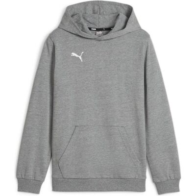 Puma Jungen, Pullover, teamGOAL Casuals Hoody Jr, Grau, (152) Puma Jungen, Pullover, teamGOAL Casuals Hoody Jr, Grau, (152)