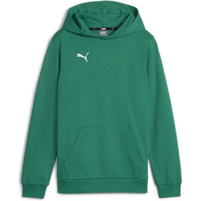 Puma Jungen, Pullover, teamGOAL Casuals Hoody Jr, Grün, (128) Puma Jungen, Pullover, teamGOAL Casuals Hoody Jr, Grün, (128)