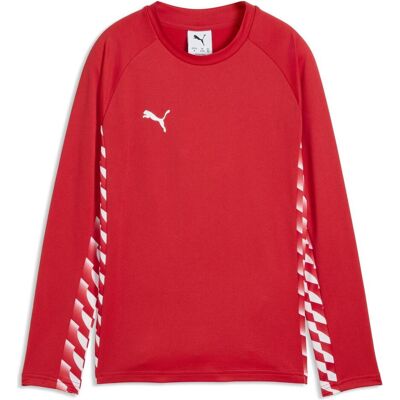 Puma Jungen, Pullover, teamLIGA26 Training Sweat Jr, Rot, (140) Puma Jungen, Pullover, teamLIGA26 Training Sweat Jr, Rot, (140)