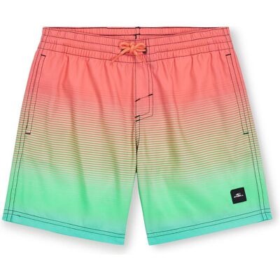 O'Neill, Jungen, Badehosen, Jack Cali Gradient 14" Swim Shorts, Mehrfarbig, (140) O'Neill, Jungen, Badehosen, Jack Cali Gradient 14" Swim Shorts, Mehrfarbig, (140)
