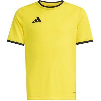 Adidas Jungen, Sportshirt, Ent26 Jsy Y - tmyell/black (176), Gelb, 176 Adidas Jungen, Sportshirt, Ent26 Jsy Y - tmyell/black (176), Gelb, 176