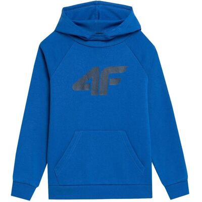 4F, Jungen, Pullover, Jungen Sweatshirt cobalt 4FJSS23TSWSM220 36F 128cm, Blau, (36) 4F, Jungen, Pullover, Jungen Sweatshirt cobalt 4FJSS23TSWSM220 36F 128cm, Blau, (36)