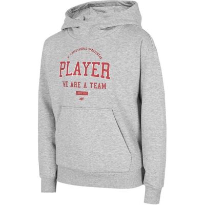 4F, Jungen, Pullover, Jungenbluse cool grey melange, HJZ22 JBLM006 27M (128 cm), Grau, (128) 4F, Jungen, Pullover, Jungenbluse cool grey melange, HJZ22 JBLM006 27M (128 cm), Grau, (128)