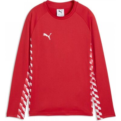 Puma Jungen, Pullover, teamLIGA26 Training Sweat Jr, Weiss, Grau, (116) Puma Jungen, Pullover, teamLIGA26 Training Sweat Jr, Weiss, Grau, (116)