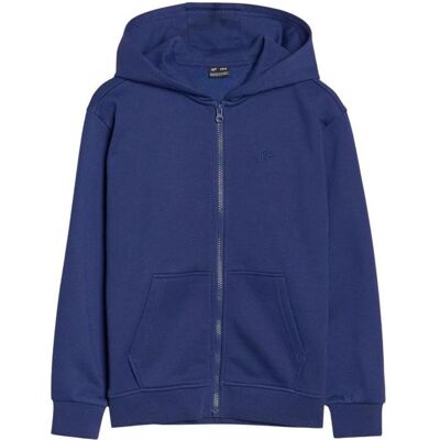 4F, Jungen, Pullover, Kinder-Sweatshirt, Blau, (164) 4F, Jungen, Pullover, Kinder-Sweatshirt, Blau, (164)