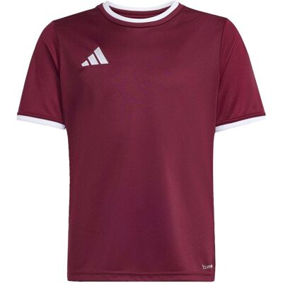 Adidas Jungen, Sportshirt, Ent26 Jsy Y - teamar/white (116), Rot, 116 Adidas Jungen, Sportshirt, Ent26 Jsy Y - teamar/white (116), Rot, 116