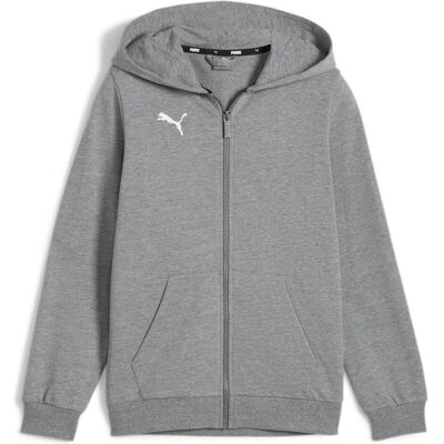 Puma Jungen, Pullover, teamGOAL Casuals Hooded Jacket Jr, Grau, (164) Puma Jungen, Pullover, teamGOAL Casuals Hooded Jacket Jr, Grau, (164)