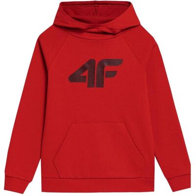 4F, Jungen, Pullover, Pullover für Jungen rot 4FJSS23TSWSM220 62S (122cm), Rot, (62) 4F, Jungen, Pullover, Pullover für Jungen rot 4FJSS23TSWSM220 62S (122cm), Rot, (62)