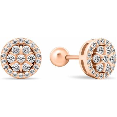 Brilio, Ohrringe, Silver - Shiny bronze earrings with zircons EA490R, (Bronze) Brilio, Ohrringe, Silver - Shiny bronze earrings with zircons EA490R, (Bronze)