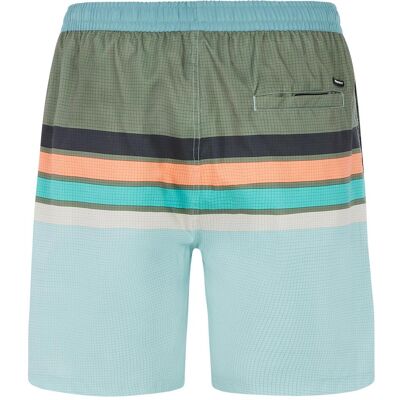 Protest, Herren, Shorts, Herren PRTAvik Strandshorts grün, Grün, (XL) Protest, Herren, Shorts, Herren PRTAvik Strandshorts grün, Grün, (XL)