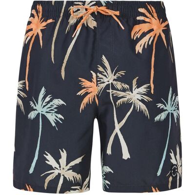 Protest, Herren, Shorts, Herren PRTHear Strandshorts grau, Grau, (L) Protest, Herren, Shorts, Herren PRTHear Strandshorts grau, Grau, (L)