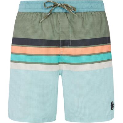 Protest, Herren, Shorts, Herren PRTAvik Strandshorts grün, Grün, (M) Protest, Herren, Shorts, Herren PRTAvik Strandshorts grün, Grün, (M)