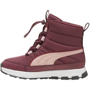 Puma Damen, Boots + Stiefel, Evolve Boot Jr, Rot, (39) Puma Damen, Boots + Stiefel, Evolve Boot Jr, Rot, (39)