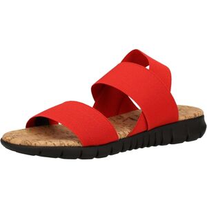 Rapisardi, Damen, Sandalen, Sandalen, Rot, (39) Rapisardi, Damen, Sandalen, Sandalen, Rot, (39)
