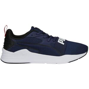 Puma Herren, Sneakers, Schuhe mit Draht, Blau, (42) Puma Herren, Sneakers, Schuhe mit Draht, Blau, (42)