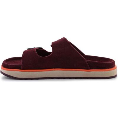 D.Franklin, Damen, Flip-Flops, Damen Nordic Sandal Buckle Flip-Flops, Rot, (37) D.Franklin, Damen, Flip-Flops, Damen Nordic Sandal Buckle Flip-Flops, Rot, (37)