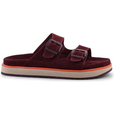 D.Franklin, Damen, Flip-Flops, Damen Nordic Sandal Buckle Flip-Flops, Rot, (38) D.Franklin, Damen, Flip-Flops, Damen Nordic Sandal Buckle Flip-Flops, Rot, (38)