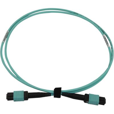 Tripp Lite N844B-01M-12-P - Glasfaserkabel Tripp Lite N844B-01M-12-P - Glasfaserkabel