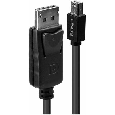 Lindy Mini DisplayPort — DisplayPort (2 m), Videokabel, Schwarz Lindy Mini DisplayPort — DisplayPort (2 m), Videokabel, Schwarz