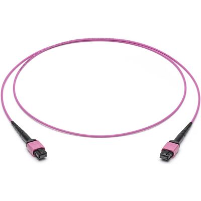 Corning LWL-Patchkabel 12F MPO PC (5 m), Netzwerkkabel Corning LWL-Patchkabel 12F MPO PC (5 m), Netzwerkkabel