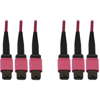 Tripp Lite N858B-15M-3X8MG InfiniBand/Faseroptikkabel - 15m OM4 LSZH Hochgeschwindigkeitsmultimode Tripp Lite N858B-15M-3X8MG InfiniBand/Faseroptikkabel - 15m OM4 LSZH Hochgeschwindigkeitsmultimode