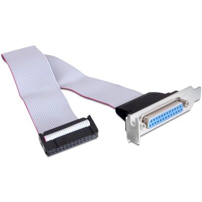 Delock Bracket Parallel DB25 (22 cm), Interne Kabel (PC) Delock Bracket Parallel DB25 (22 cm), Interne Kabel (PC)
